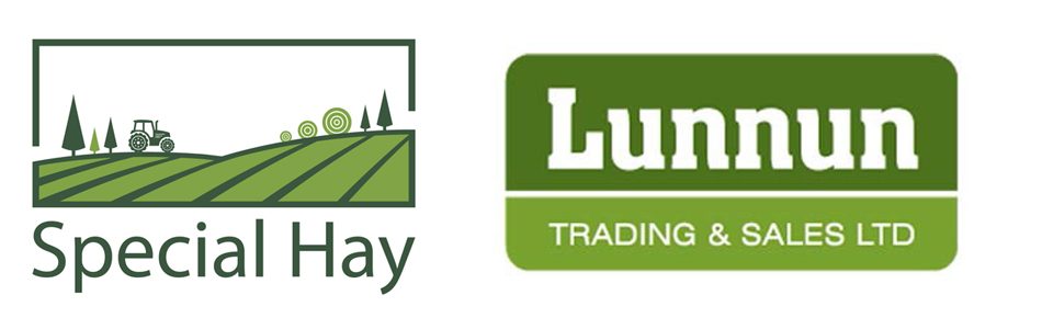Lunnun Trading